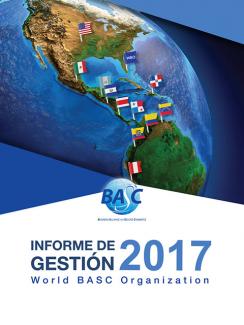 Informe de gestión 2017