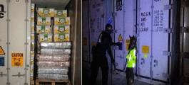 Hallan 575 paquetes contaminados con cocaína