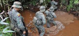 La operación se llevó a cabo cerca a la frontera ecuatoriana en los alrededores de la isla Malpelo, en Colombia.